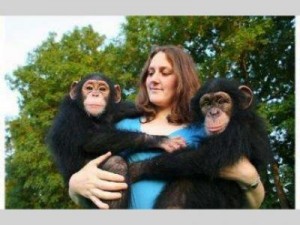 sweet chimpanzee monkeys for free adoption